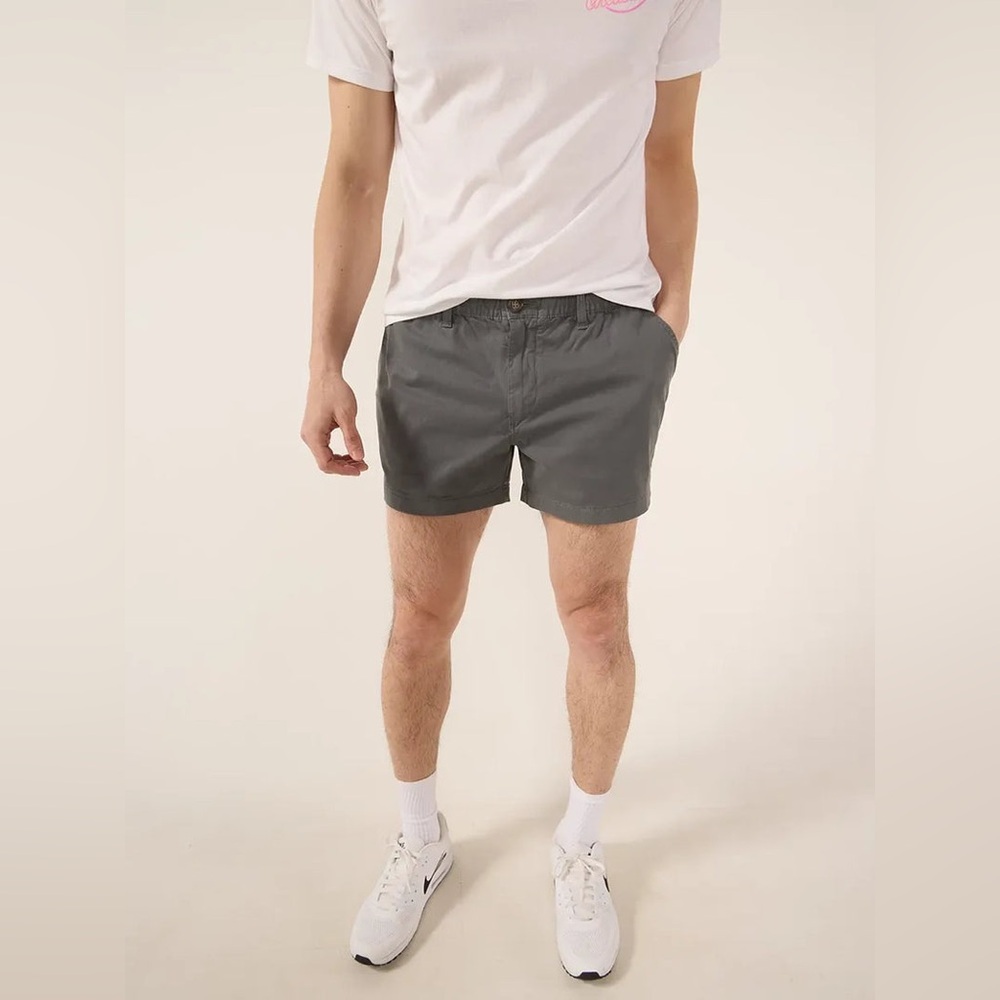 Chubbies Gray Flat Front Men Shorts